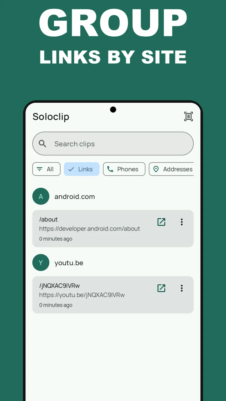 Soloclip Links filter grouping copied links by site